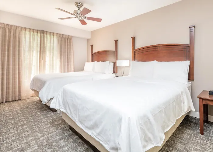 Hotel Staybridge By Ihg 3*