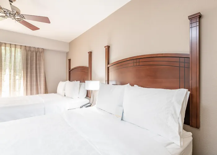 Staybridge By Ihg North Charleston